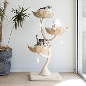 Cat Tree