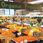 Berkeley Bowl Marketplace