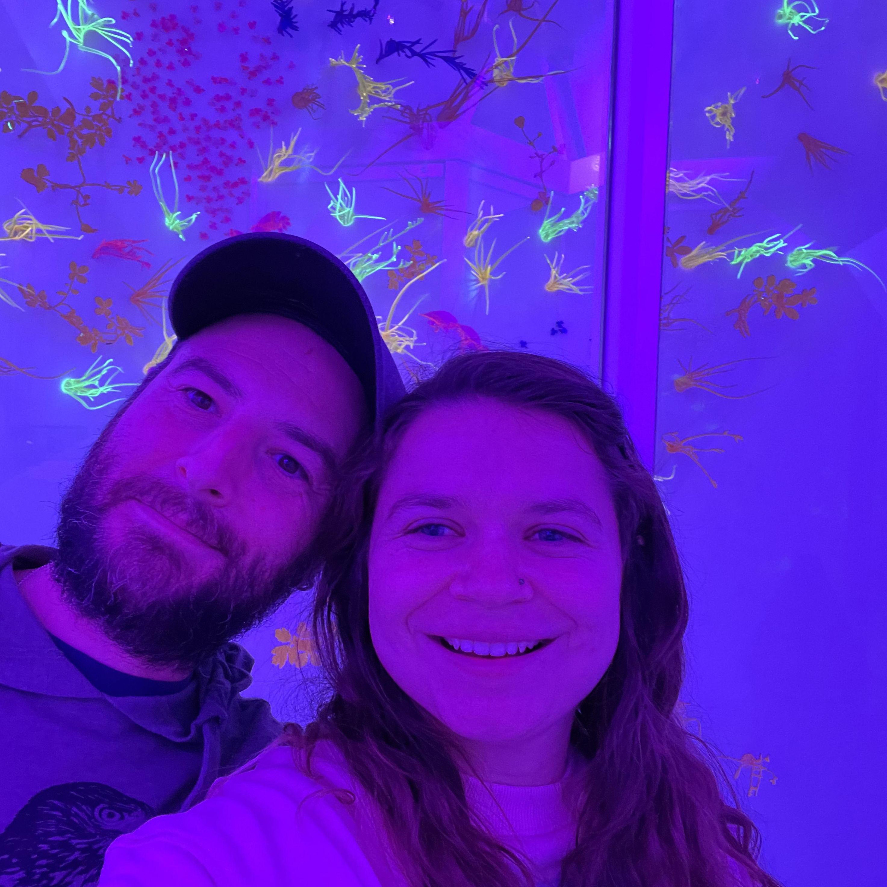 Meow Wolf, Denver