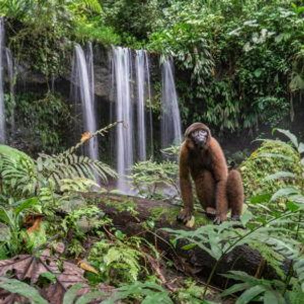 Amazon Adventure Tour