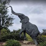 STL Zoo