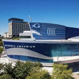 Georgia Aquarium