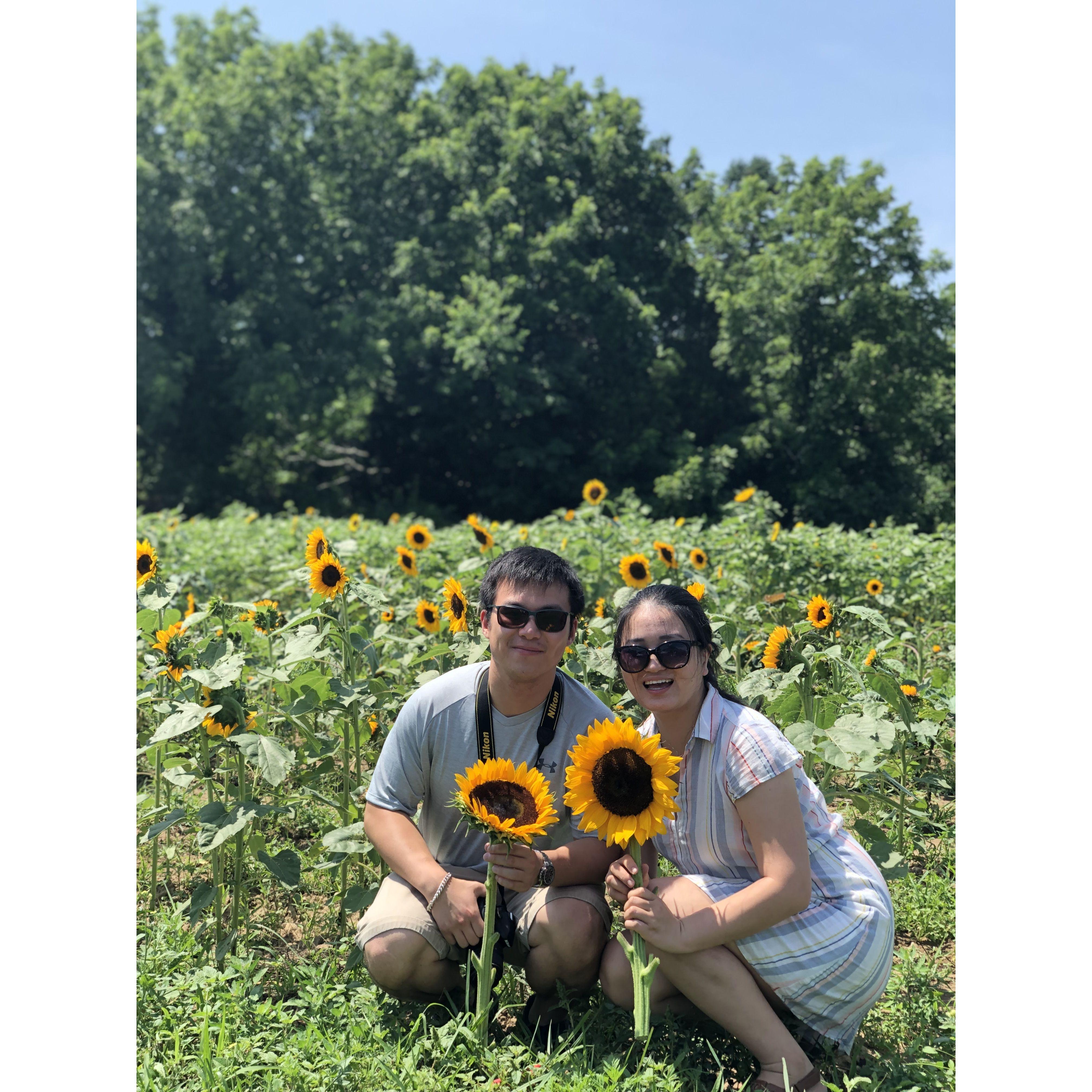 First birthday together: Tommy took Hattie out to a sunflower field in Long Island to celebrate her birthday because Tommy likes to tell Hattie "You are my sunflower."
