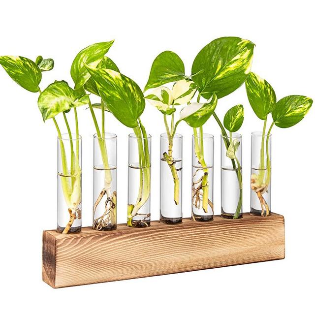 KAXYEW Desktop Plant Terrarium, Plant Propagation Tubes with Wooden Stand 7 Test Tubes Glass Planter for Hydroponic Plant Cuttings Home Office Décor