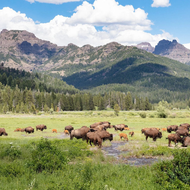 Yellowstone Exploration