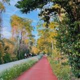 Katy Trail