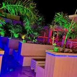 12 to 12 Lounge