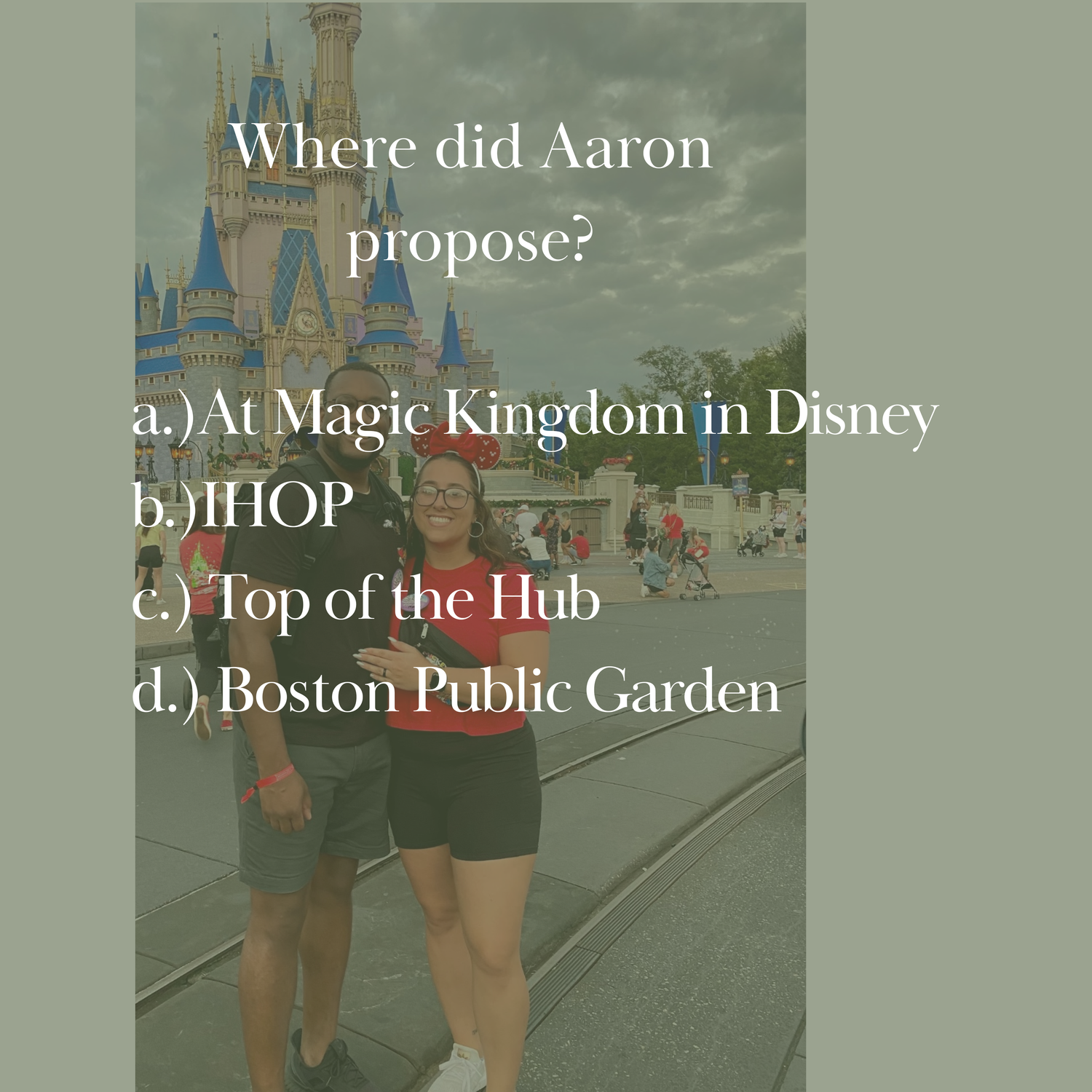 d.) Boston Public Garden