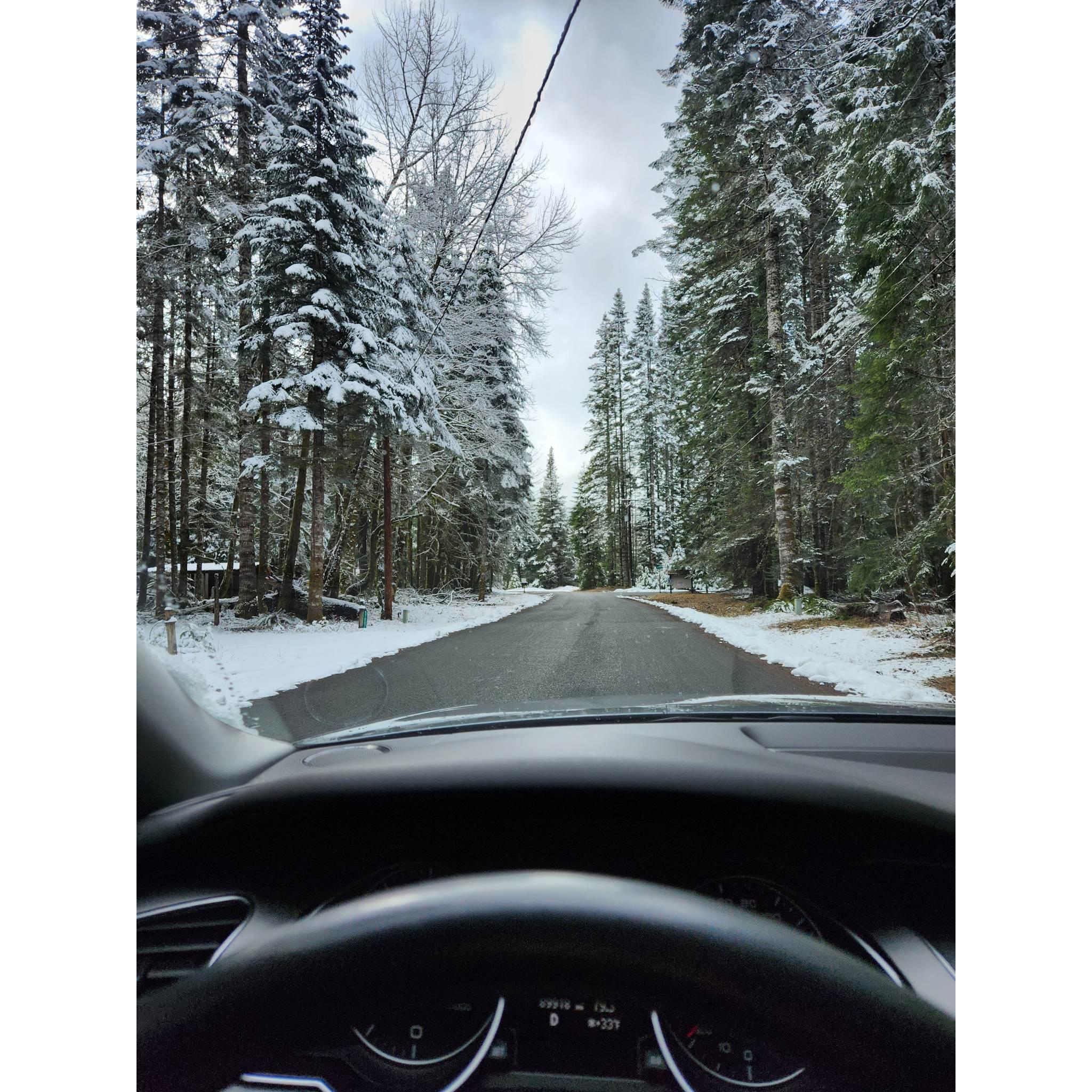 The drive to Ashford, WA.