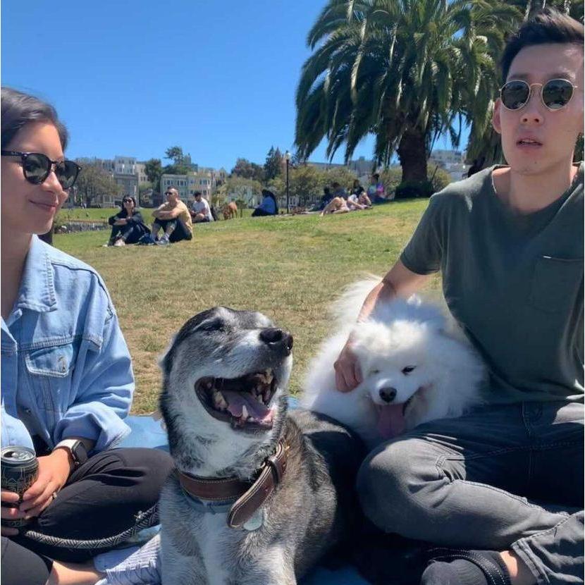 Dogsitting in Dolores Park, SF