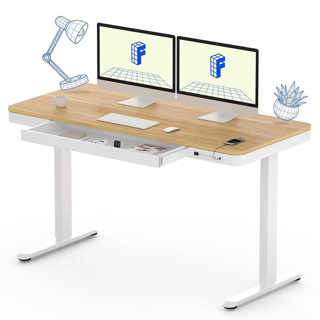 FLEXISPOT 55" Electric Standing Desk with Drawers, Quick Assembly Home Office Sit Stand Desk with Storage, USB Charging, Computer Desk for Home Office (Maple Top + White Adjustable Frame, Comhar)