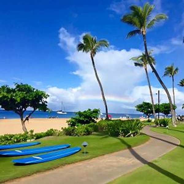 Maui Honeymoon Fund