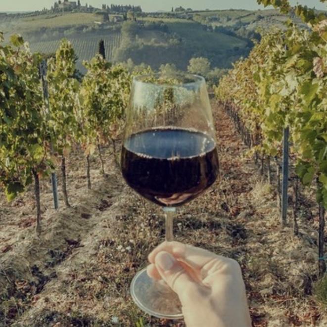 Wine Tour in Tuscany