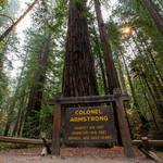 Armstrong Redwoods State Natural Reserve