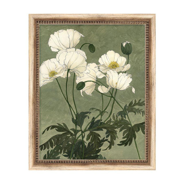 White Poppies 13x16