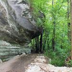 Back 40 Trail (for mountain biking, trail running, and hiking)