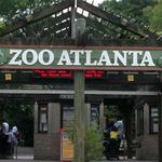 Zoo Atlanta