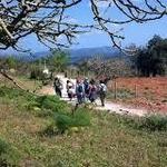 Hiking