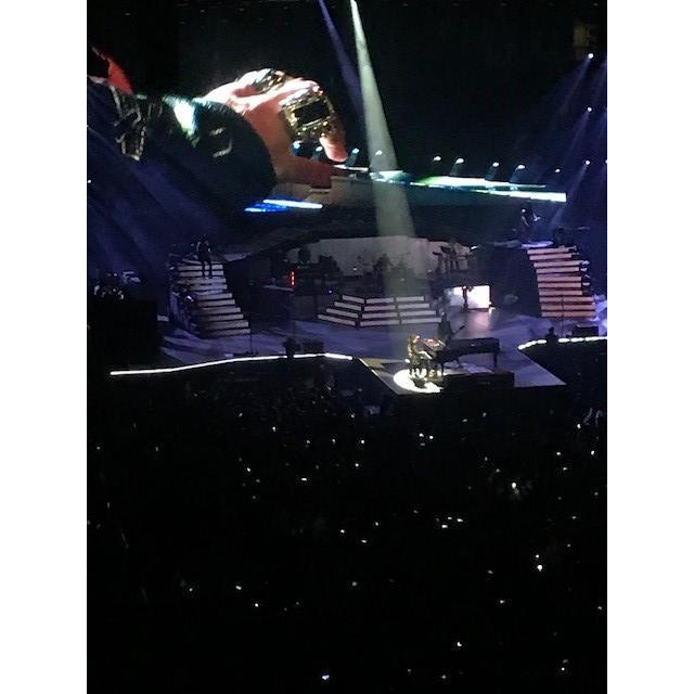Guns and Roses concert