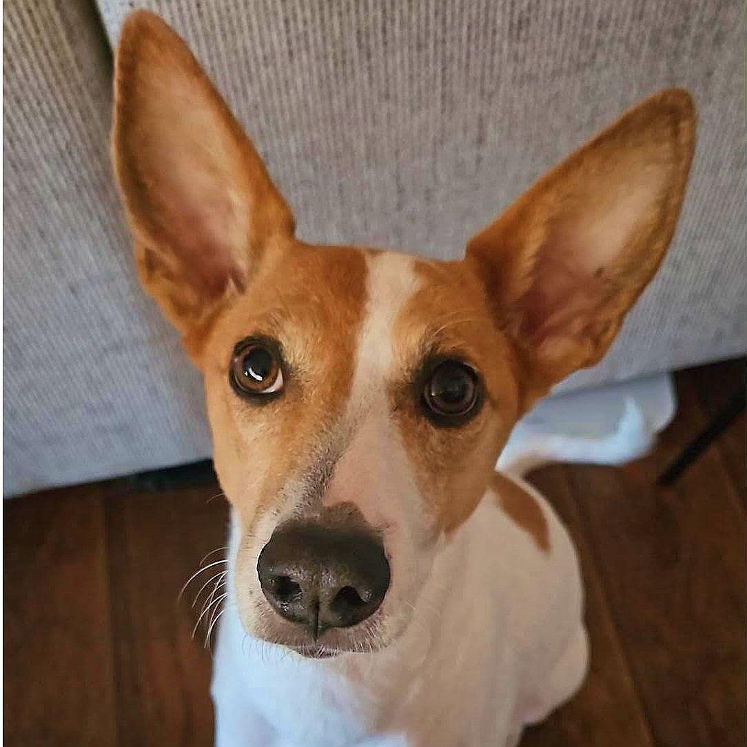 Wally!