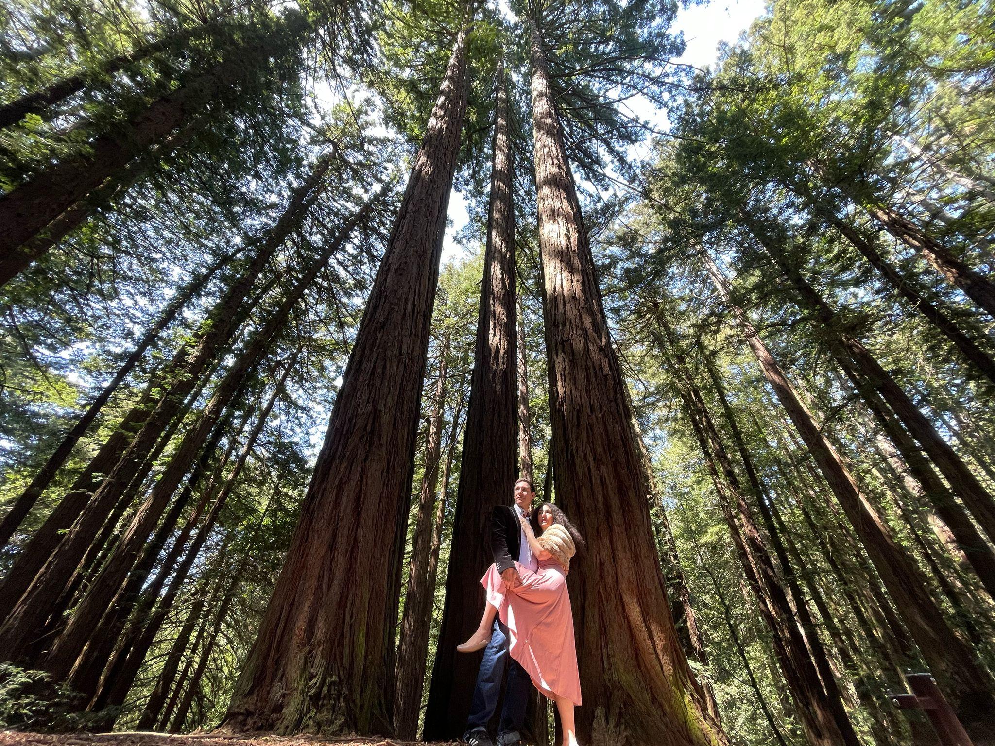 The Wedding Website of Yarden (Jordan) Davis and Peter Tatrai