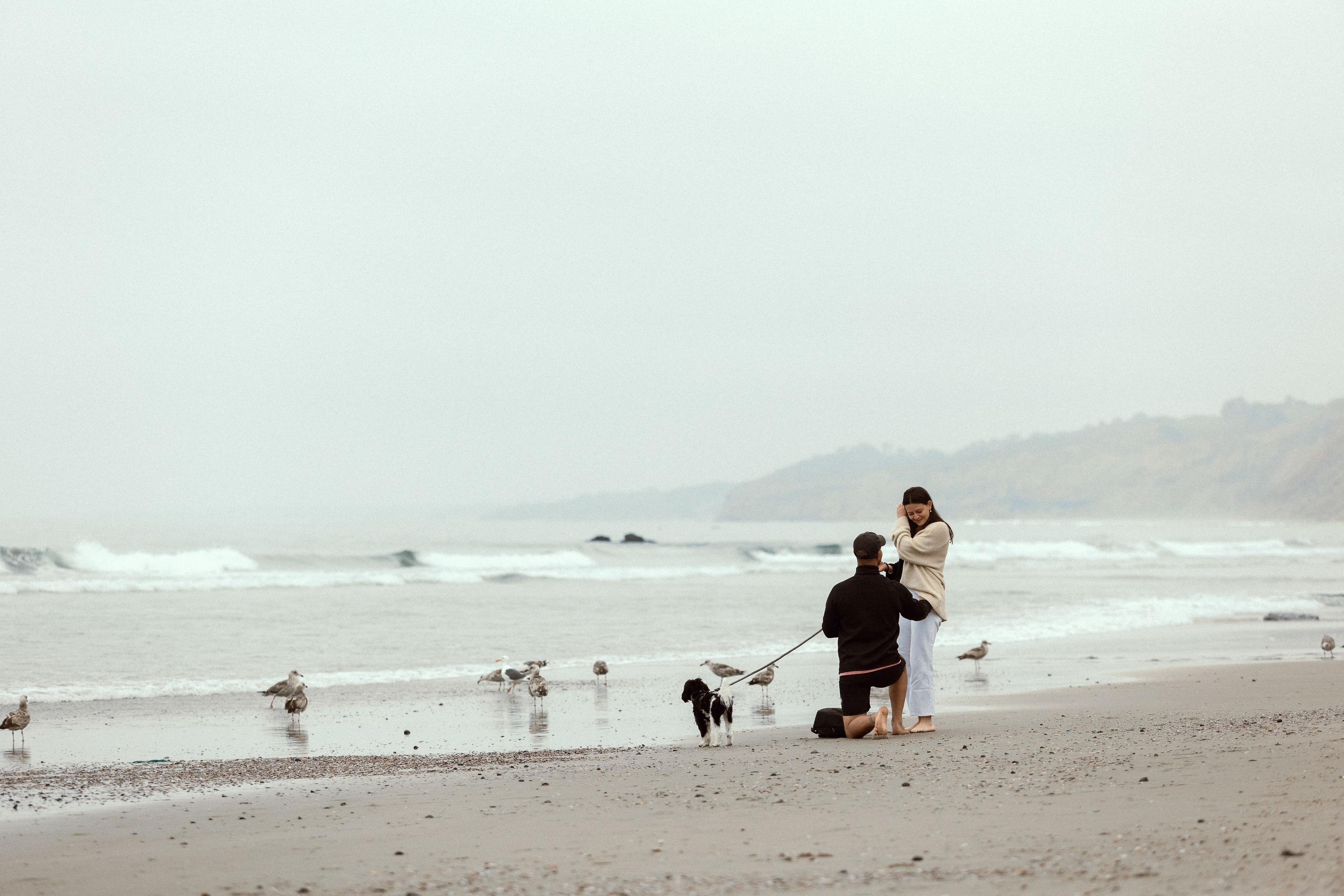 The Wedding Website of Madeline Ittner and Mark Vokey