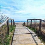 Hammonasset Beach State Park