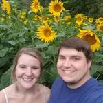 FAUSETT FARMS SUNFLOWERS