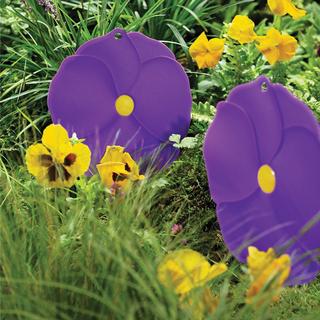 Reflecting Nature Pansy Heat Resistant Trivet