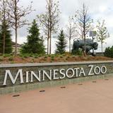 Minnesota Zoo