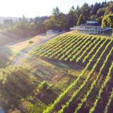 Aptos Vineyard