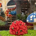 4. Bellagio Conservatory & Botanical Garden