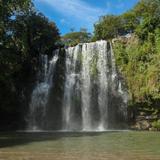 Waterfall, Rainforest and Hot Springs Adventure