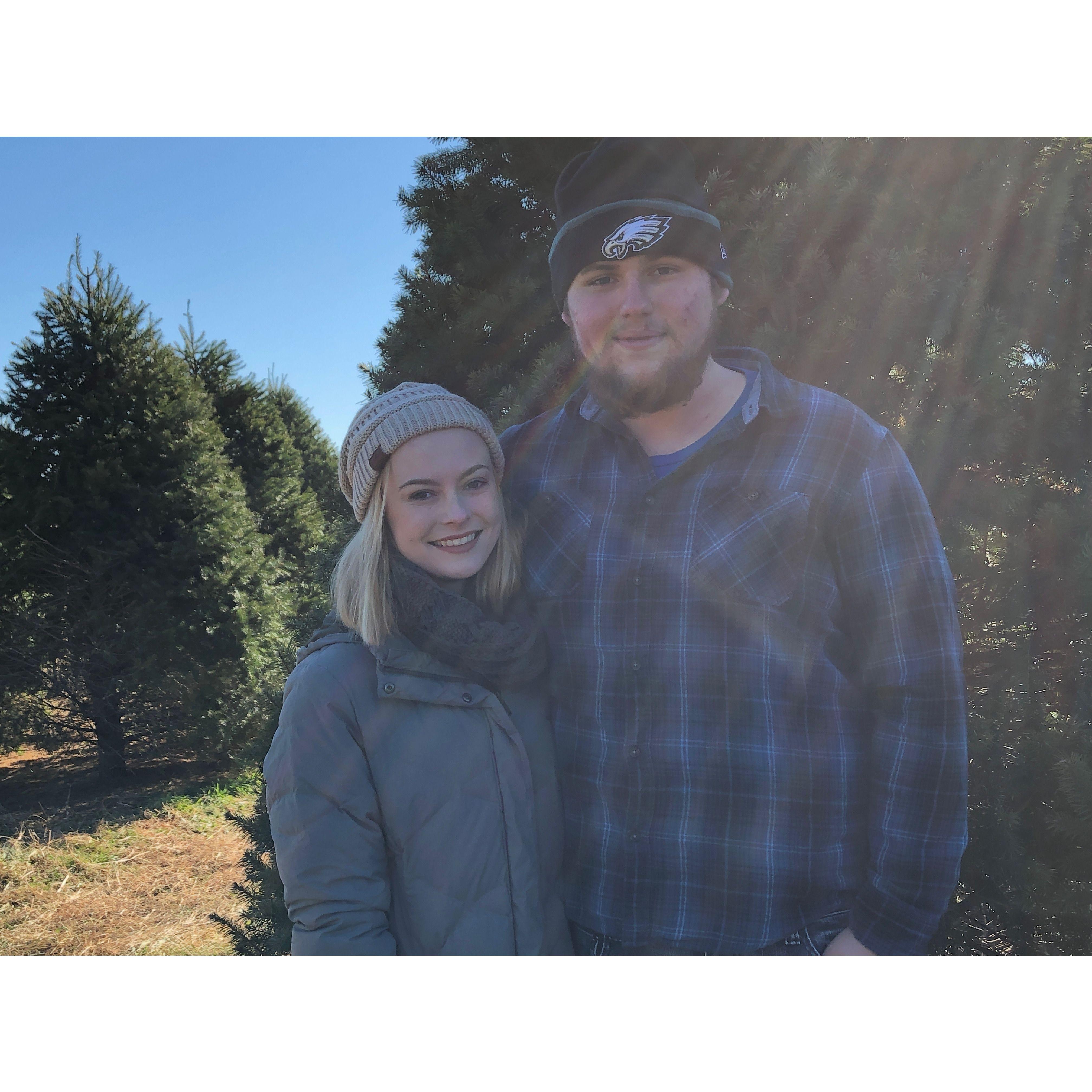 Tree Day!