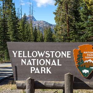 Yellowstone by train honeymoon