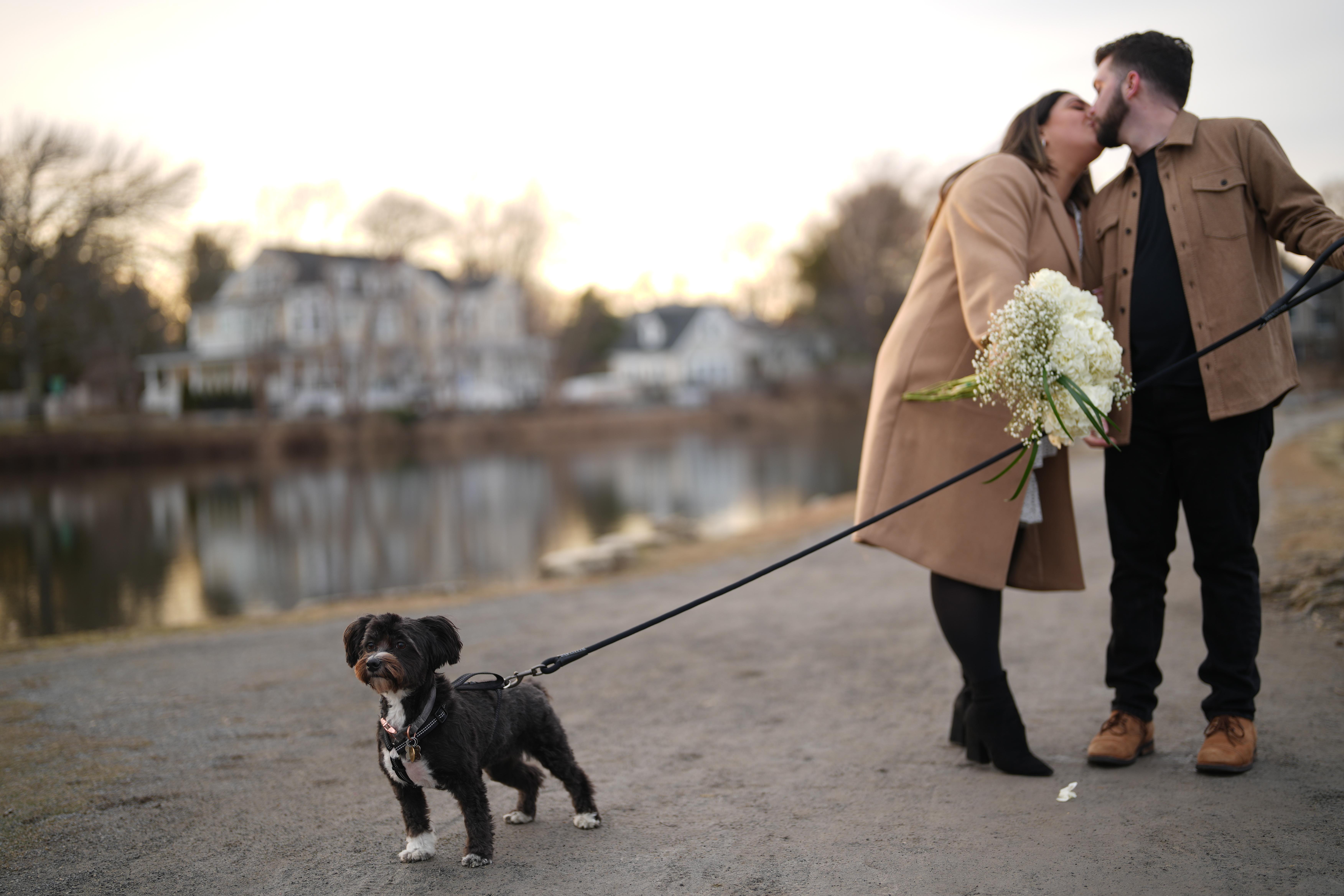 The Wedding Website of Amanda Acebedo and Daniel Narvaez