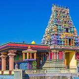Discover Nadi Tour