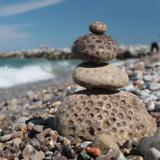 Walk along Lake Michigan at the Petoskey State Park