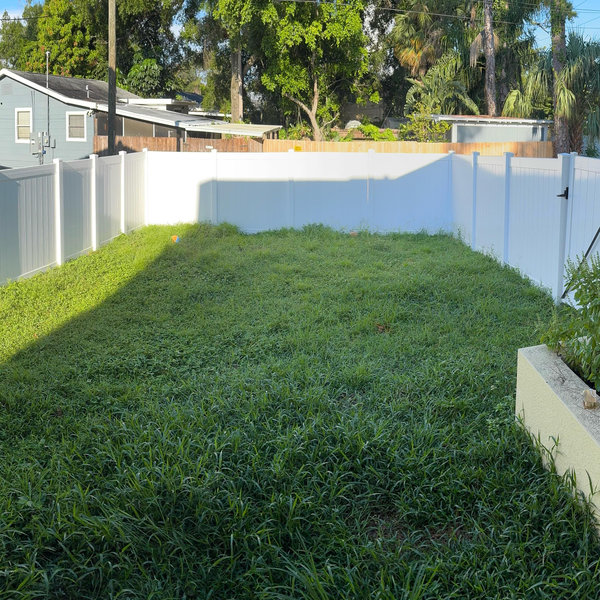 Backyard Remodel