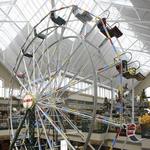 Scheels