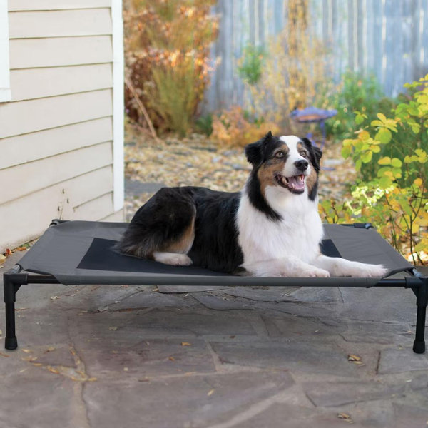 Outdoor Elevated Dog Bed