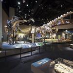 Perot Museum of Nature and Science