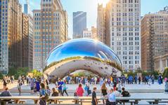 The Bean