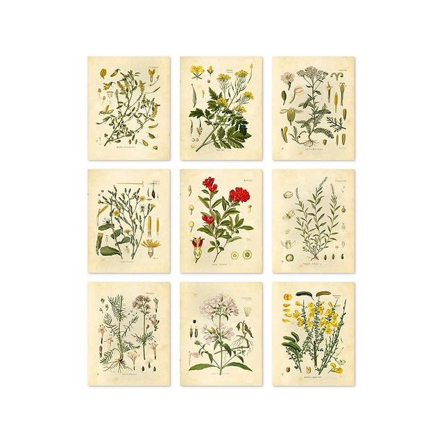 Ink Inc. Botanical Prints Wall Art - Medicinal Healing Herbs - Set of 9 5x7 Inches - Unframed