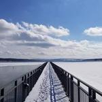 Skaneateles