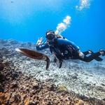 Scuba Diving
