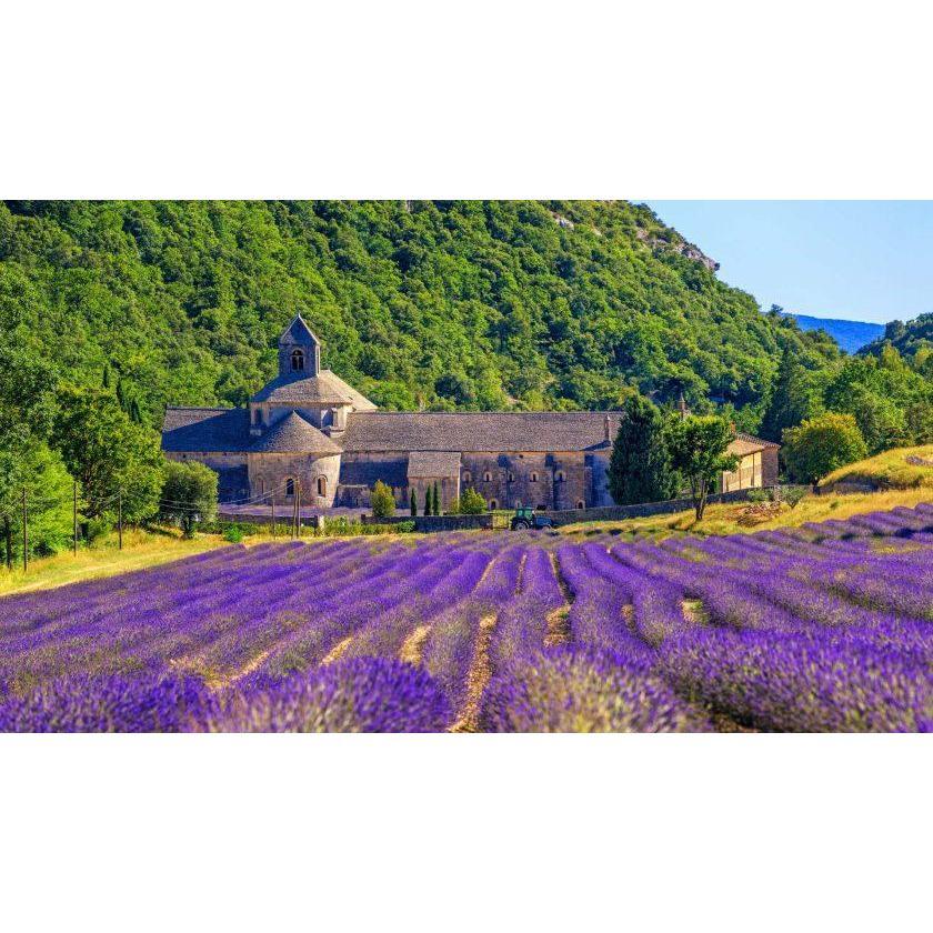 Senanque abbey, Gordes, Provence, France