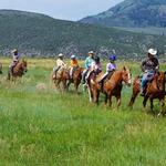 Vail Stables