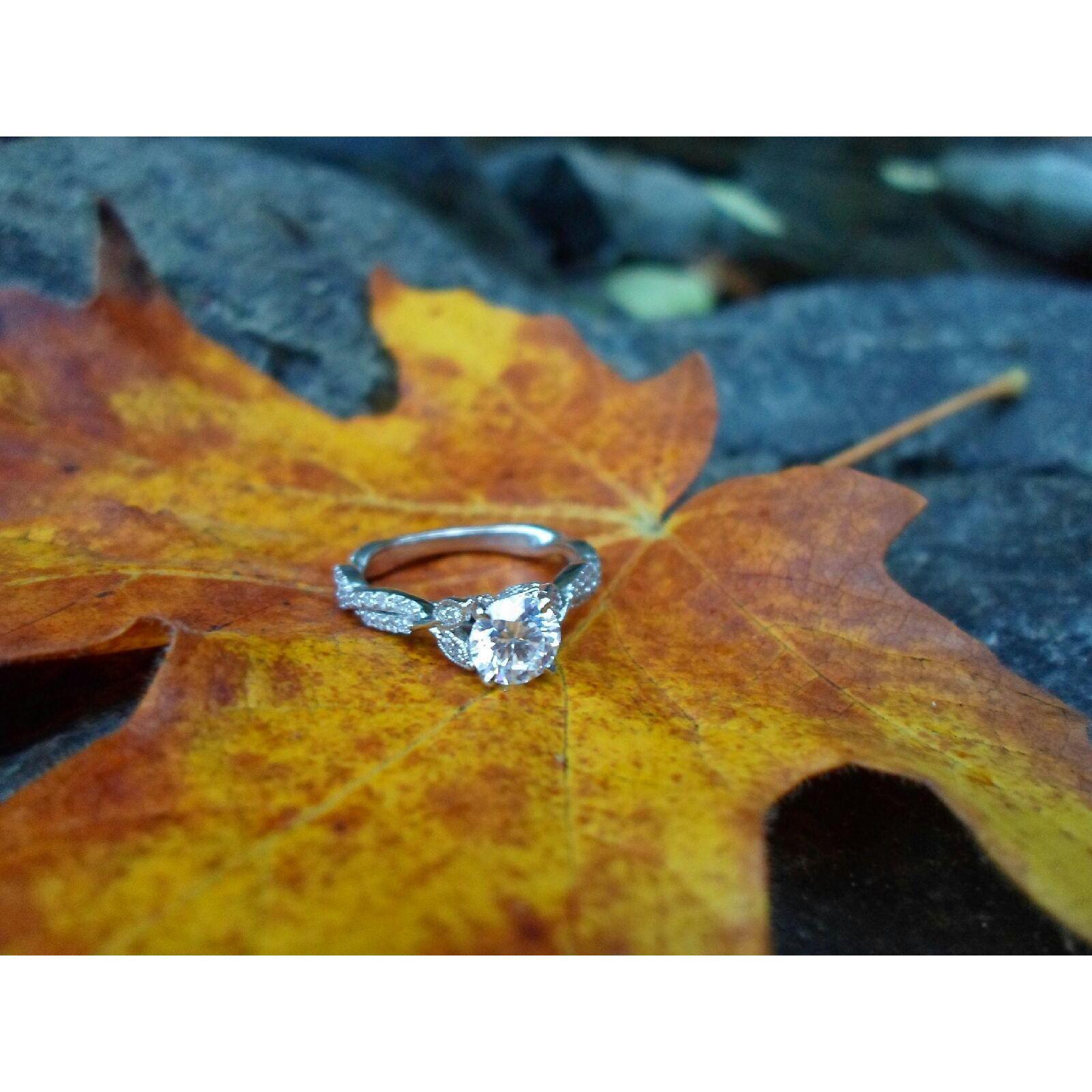 The weekend Thomas proposed he decided we should go find fall colors and try to get some pictures.