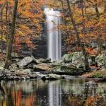 Cedar Falls Trail Hike